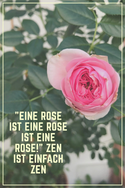 Rose Zen Meditation
